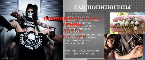 а пвп мука Краснослободск
