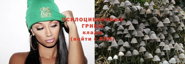 а пвп мука Краснослободск