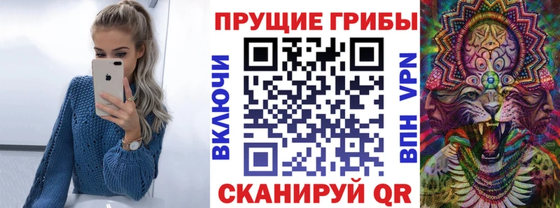 Купить где Комсомольск-на-Амуре Галлюциногенные грибы мицелий